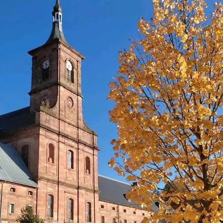 Vosges, Spa, Sauna & Piscine 펜션 *