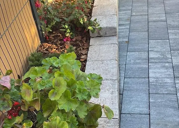 Vosges, Spa, Sauna & Piscine Moyenmoutier